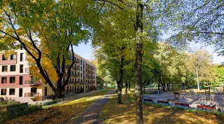 Zaļā pagalma zona